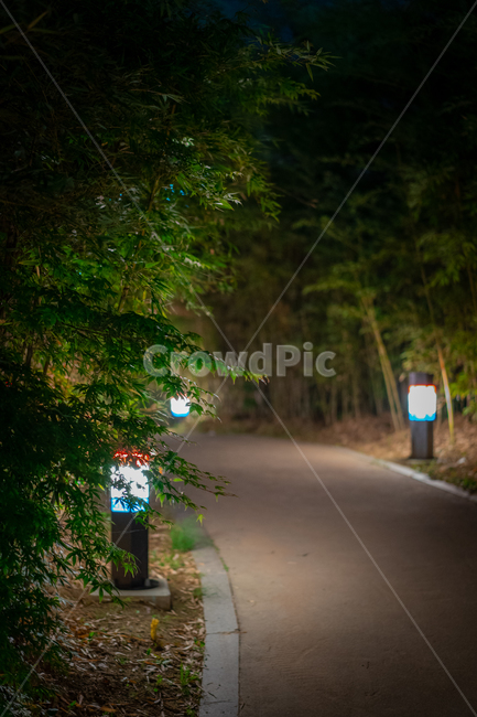 숲속,전통,야경,산책,불빛,light,공원,park,night,가로등,green,초록