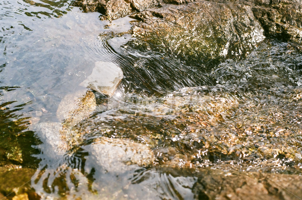 자연,계곡,휴식,물결,힐링,healing,rest,relaxation,물,강,나무,돌,nature,landscape,부드러움,휴가,계절,season,여름,summer,vacation,단양,초록,녹색,감성,빈티지,아날로그,필름,필름사진,필름카메라,film,filmcamera,휴식,힐링,rest,relaxation,healing