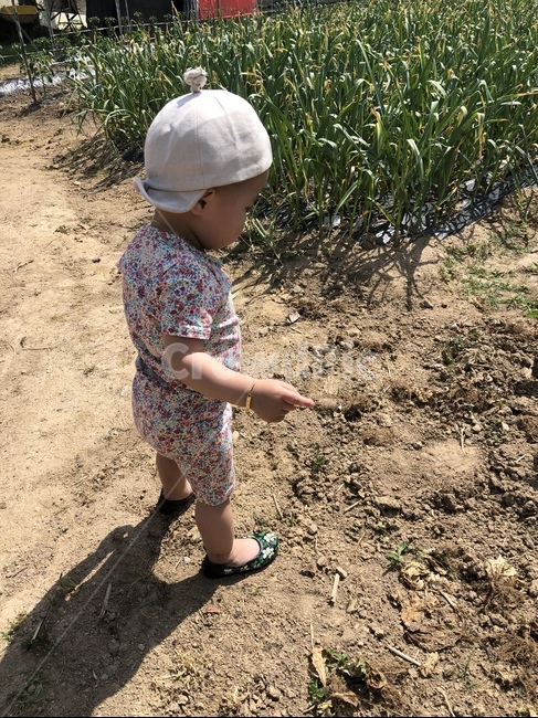 아기고무신,시골여행,아기몸빼,호기심,아기패션