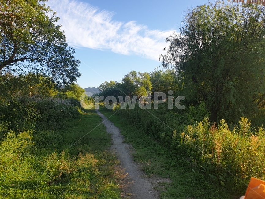 nature,자연,숲길,들길,grass,생태공원,들,숲,자연,풍경,nature,landscape,outdoors,옥외,grassland,목초지,field