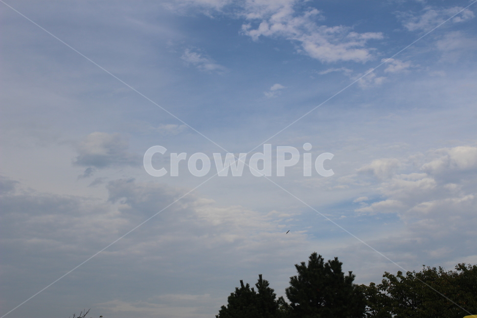 일본하늘,하늘,일본,구름,해질녘,자연,풍경,nature,landscape,outdoors,옥외
