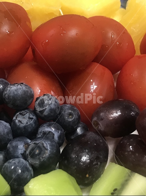 과일,색감,토마토,블루베리,음식