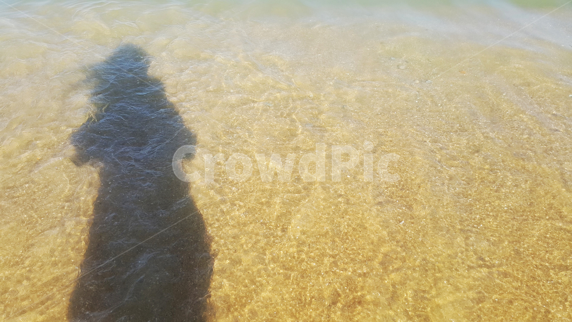 바다,해변,백사장,그림자,모래,바다물,물