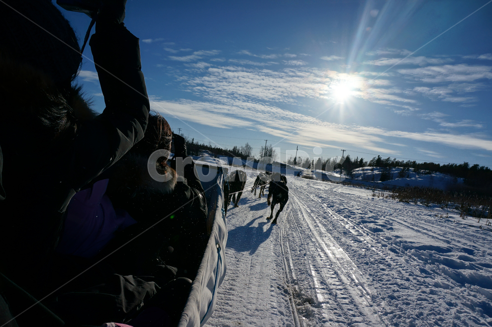 개썰매,옐로우나이프,겨울,모험,어드벤쳐,dogsled,snow,winter,landscape,sky,mountain,cold,road,nature,ice,blue,mountains,white,travel,sunset,season,frost,sun,ski,vehicle,tree,outdoor,sport,겨울,계절,winter,season,동물,animal,개,강아지,dog,doggy