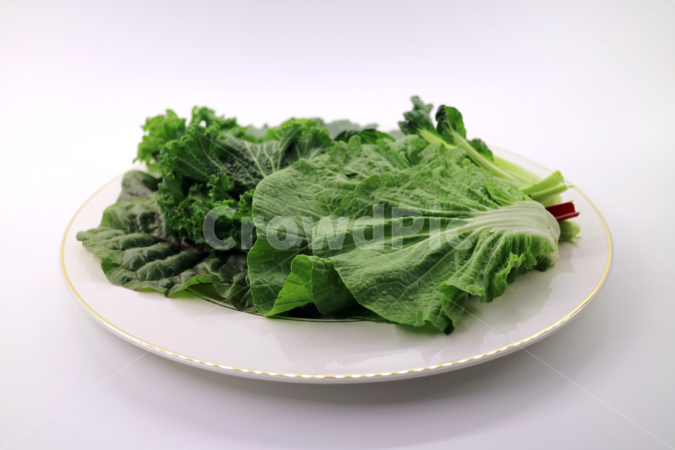 쌈채소,채소,야채,음식,식재료,food,모듬채소,모듬쌈,건강,웰빙,다이어트,샐러드,요리,식품,싱싱한,신선한,fresh,오브젝트,누끼,봄동,치커리,적근대,비타민,접시,음식,식재료,요리,food,cook,meal,dishes,food reserves,채소,야채,vegetables,누끼,remove background