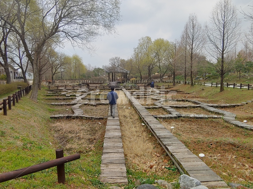 정원,정자,pavilion,arboretum,수목원,나무,garden,tree