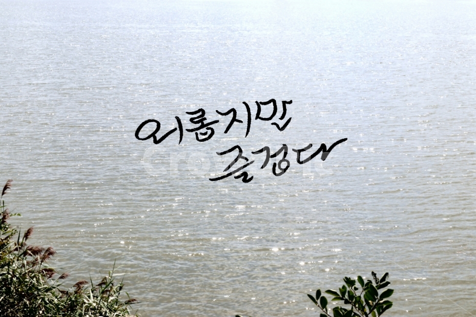 캘리그라피,고독,물반사,붓글씨,손글씨,방황,외로움,alone