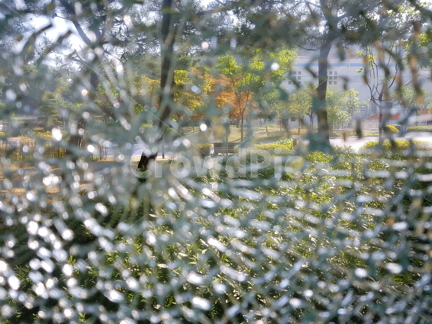 깨진유리,풍경,나무,깨짐,유리