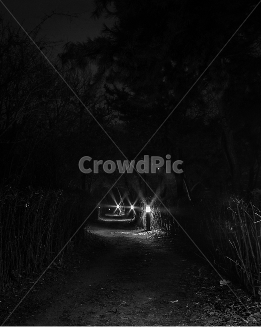 mysterious,forest,bnw,blackandwhite,흑백,숲,나무,자연,풍경,nature,landscape,야경,밤,nightscape,night,공포,호러,무서운,무서움,horror,terror,fear,흑백,모노톤,monochrome,black and white