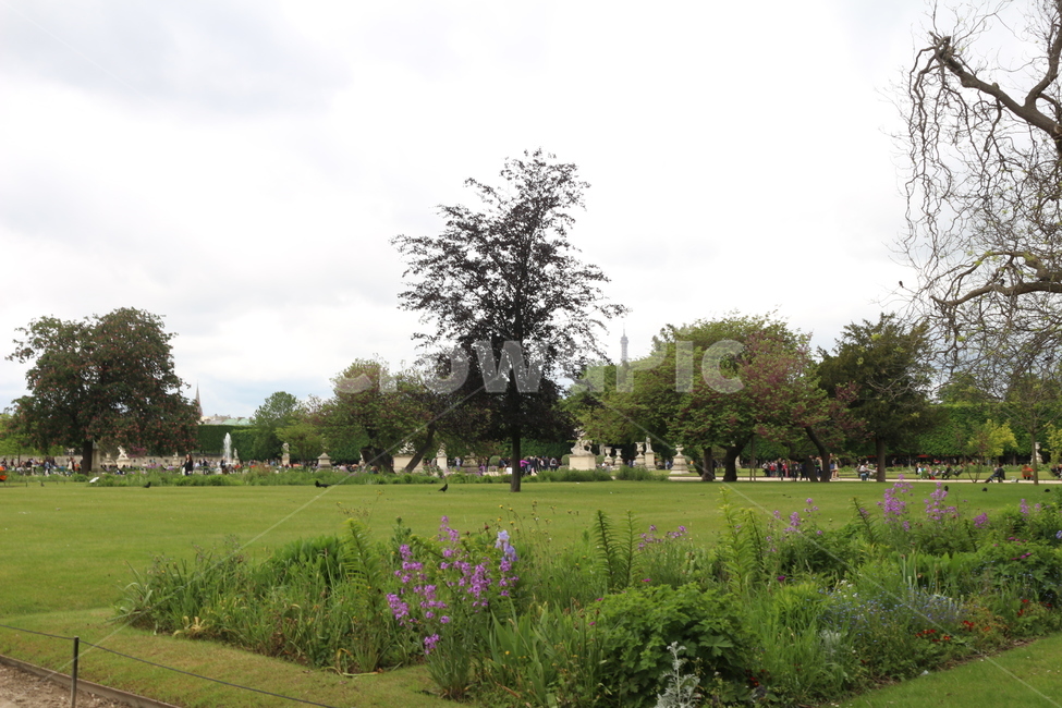 잔디,공원,프랑스,파리,틜리르공원,자연,풍경,nature,landscape,grass,plant,식물,park,outdoors,옥외,lawn