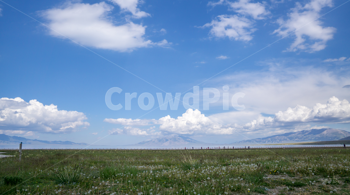 하늘,들판,초원,파란하늘,구름,자연,풍경,nature,landscape,field,들,grassland,목초지,outdoors,옥외