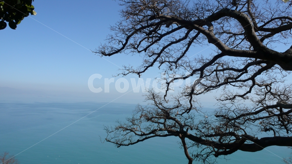 바다,나무,겨울,풍경,자연,하늘,자연,풍경,nature,landscape,outdoors,옥외