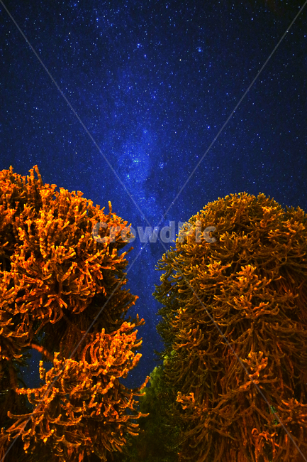 은하수,자연,nature,미리내,밤하늘,별,star,야경,밤,풍경,nightscape,night,landscape