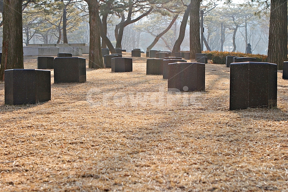 의자,공간,쉼터,풍경,배경,가을,계절,fall,autumn,season,자연,풍경,nature,landscape,tree,나무,plant,식물,ground,바닥,tree trunk,나무 줄기