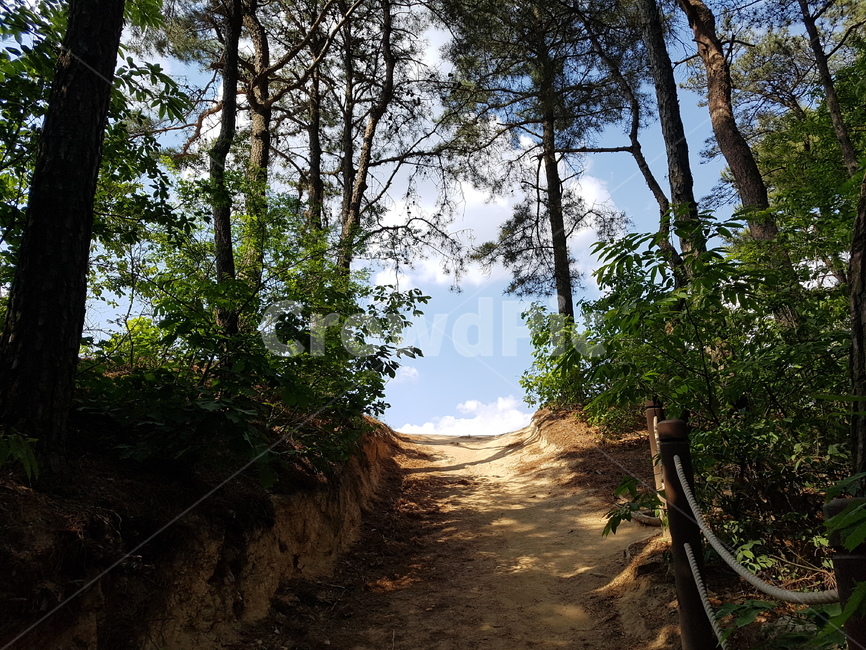 등산,산책길,숲속길,자연길,자연,숲속,길,나뭇길,풍경,landscape,nature,배경,산,산책,힐링,하늘,흙길,여름,자연풍경,등산길