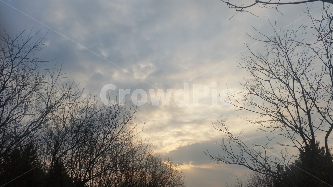 하늘,구름,햇살,배경,저녁놀,자연,풍경,nature,landscape,weather,날씨,outdoors,옥외