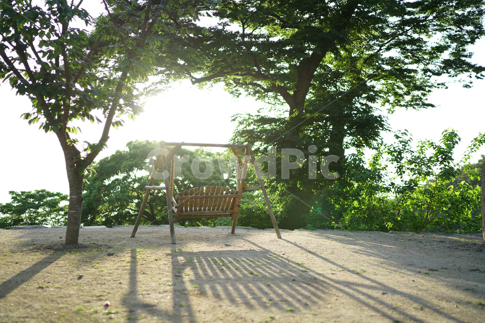 나무,그네,빛,자연,그림자,역광,식물,자연,plants,nature,나무,trees,wood,휴식,힐링,rest,relaxation,healing