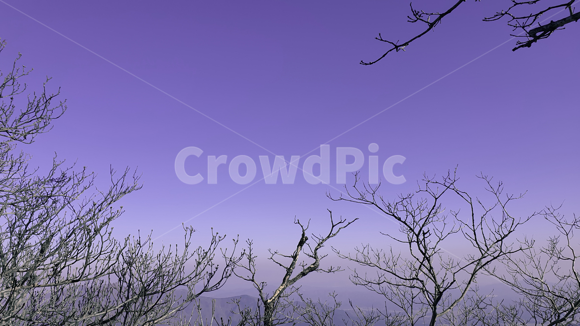 nature,자연,등산,트레킹,밤하늘,겨울,하늘,감성사진,풍경,감성,달,반달하늘,달하늘,night,nightscape,landscape,colorsense,휴식,rest