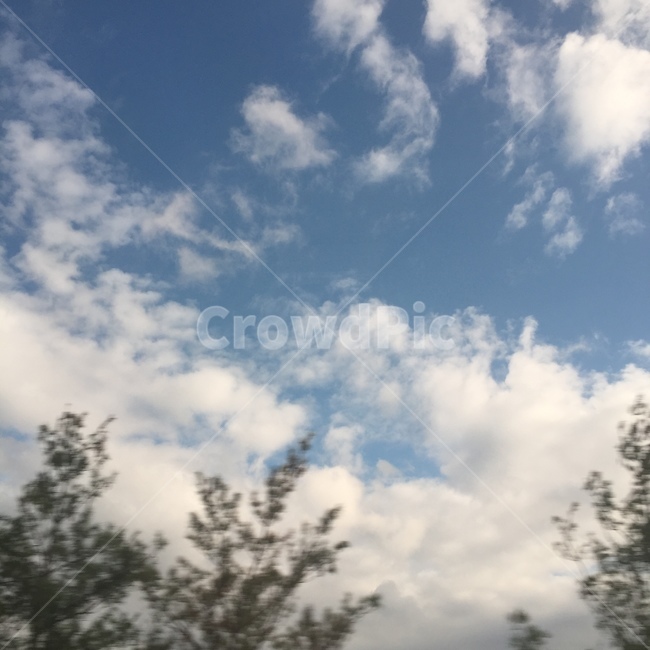 구름,감성,나무,하늘,cloud,색감