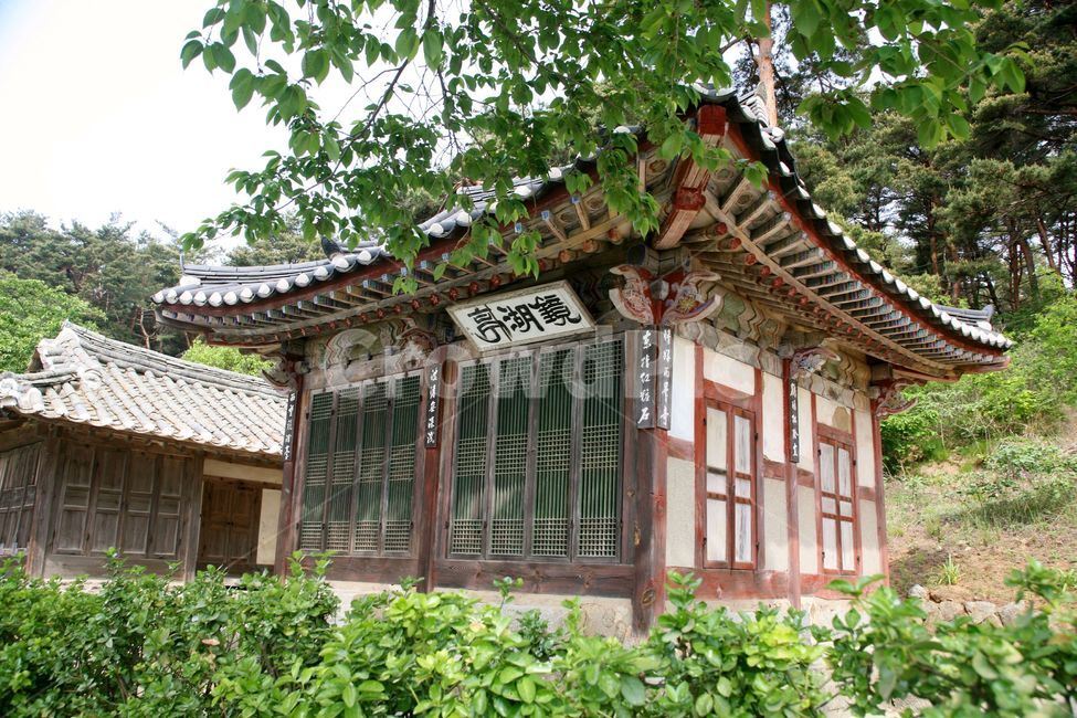 경호정,정자,고건축,강릉,강릉문화재,현판,기와,단청,선비,한국전통,한국문화,korean traditional,korean culture,건축물,건물외관,exterior,building,structure,architecture,construction