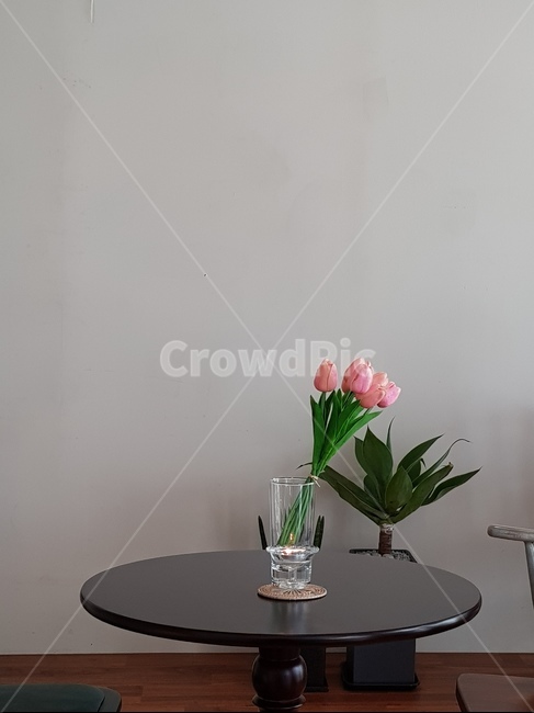튤립,카페,화병,인테리어,하얀벽,꽃,식물,자연,plants,nature,꽃,flower,실내용화초,화분,화초,house plant,인테리어,실내디자인,interior design