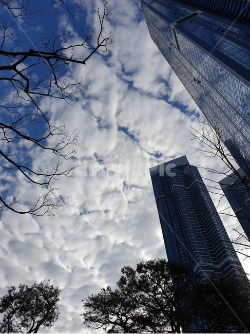 구름,고층빌딩,고층아파트,w아파트,하늘,sky,cloud,building