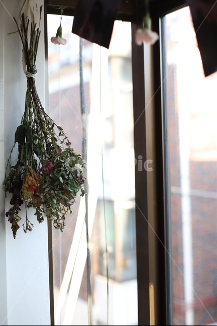 꽃,드라이플라워,장미,말린꽃,봄,여름,꽃,flower