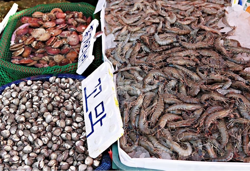 조개,식재료,먹거리,음식,조개구이,배경,자연,시장,마트,마켓,market,mart,market place,음식,식재료,요리,food,cook,meal,dishes,food reserves,수산물,해산물,fishery products,seafood