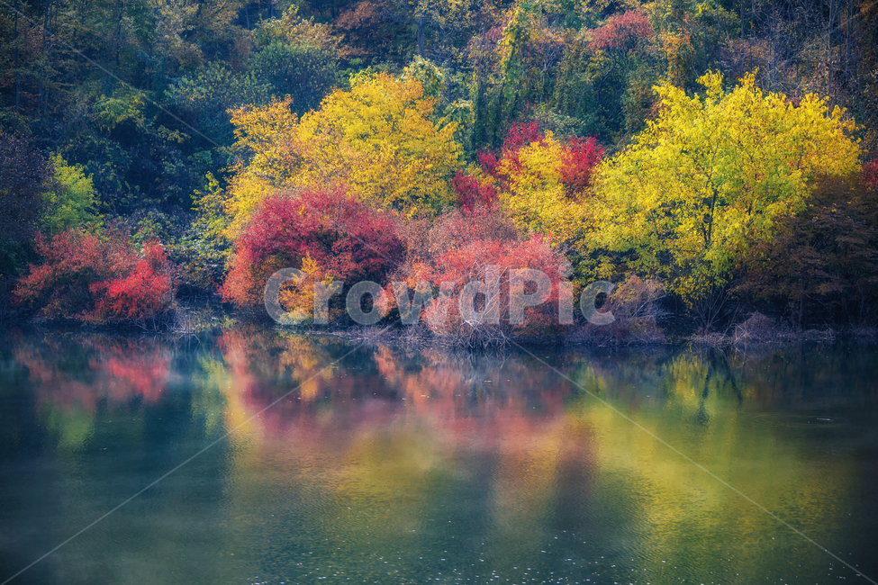 가을풍경,가을,반영,자연,nature,용담호,tree,plant,가을,계절,fall,autumn,season,자연,풍경,nature,landscape,한국자연풍경,한국자연경관,korea nature landscape