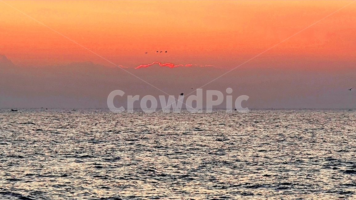 nature,sunrise,속초,동해,바다,자연,water,물,새벽,ocean,자연,풍경,nature,landscape