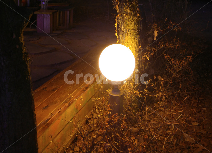 벤치,빛,조명,전등,밤,분위기,쓸쓸함,쓸쓸한,가을,야경,밤,풍경,nightscape,night,landscape,flare,플레어,light,lighting