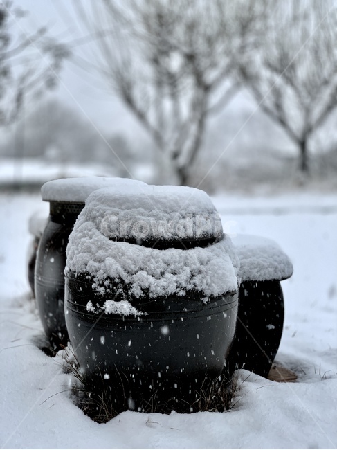 겨울,장독대,눈,계절,winter,snow,눈쌓임,겨울,계절,winter,season,한국전통,한국문화,korean traditional,korean culture,사물,물건,오브젝트,thing,object,matter