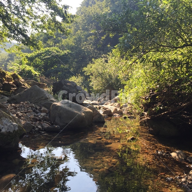 산,강,호수,계곡,바위,나무,자연,풍경,nature,landscape,water,물,outdoors,옥외,stream,흐름,creek,작은 만