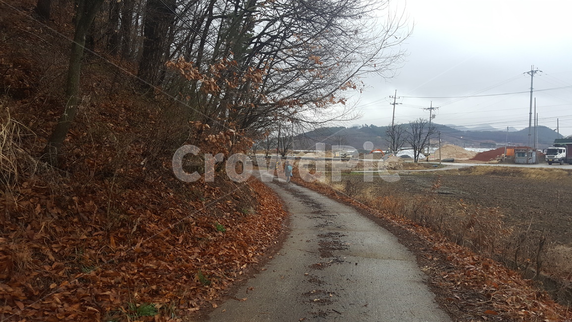 논산,풍경,가을,소녀의뒷모습,길,자연,풍경,nature,landscape,dirt road,흙길,road,도로,gravel,자갈,ground,바닥