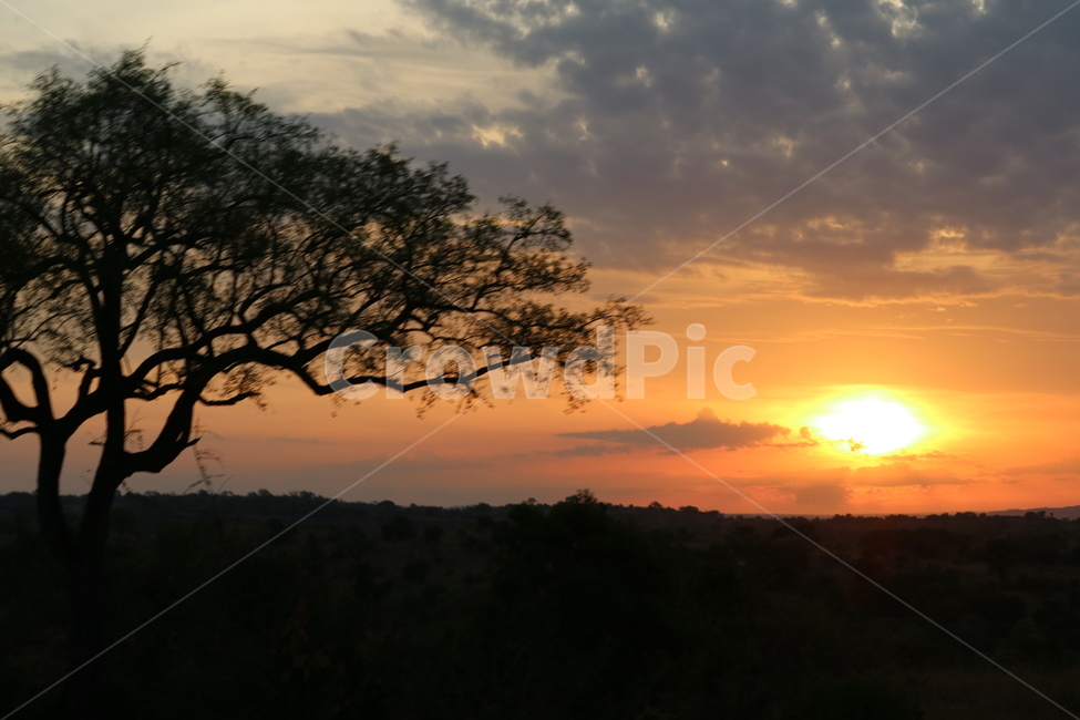 아프리카,사파리,자연,나일강,폭포,일출,safari,africa,자연,풍경,nature,landscape,outdoors,옥외,sky,하늘