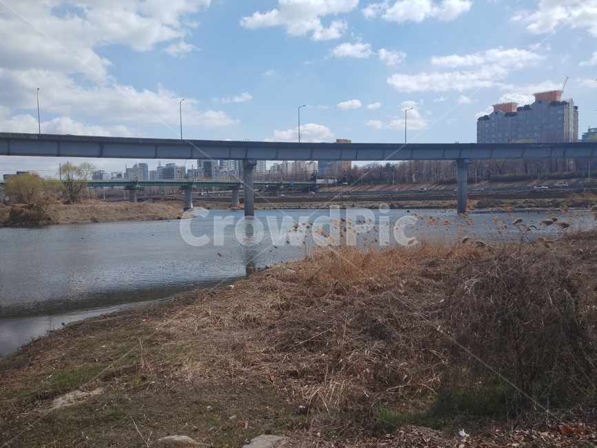 road,도로,plant,식물,tree,나무,건물,building,갈대,강,river