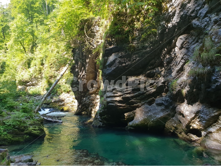 협곡,계곡,여름,슬로베니아,빈트가르,vintgar,gorge,valley,빈트가르협곡,계곡물,자연,풍경,동유럽,물,경관,더위,숲,나무,자연,풍경,nature,landscape,해외,외국,세계,foreign,oversea,world,세계자연풍경,해외자연풍경,외국자연풍경,world nature landscape,water,outdoors,옥외