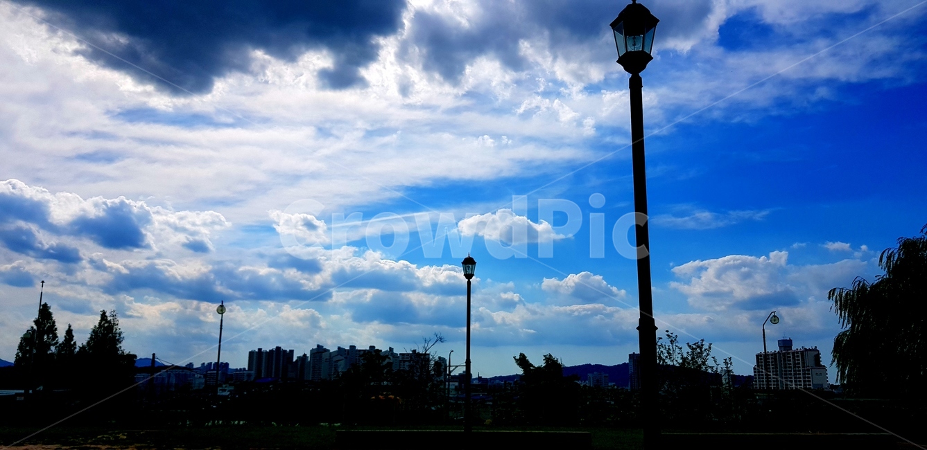 하늘,자연,나무,풍경,파란색,여름,햇빛