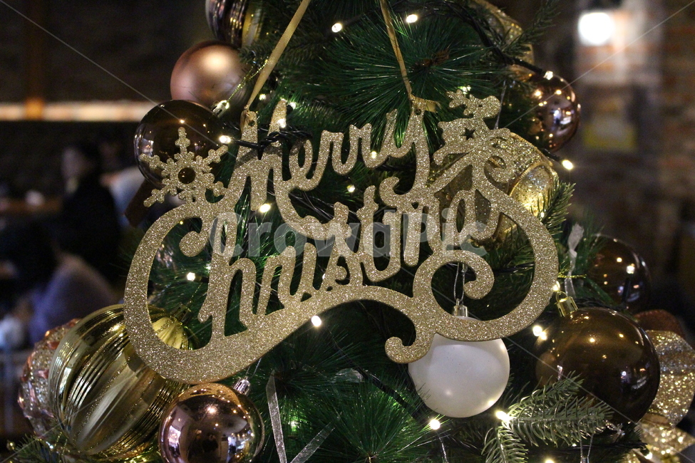 크리스마스,트리,이벤트,선물,메리크리스마스,메리크리스마스,성탄절,merry christmas