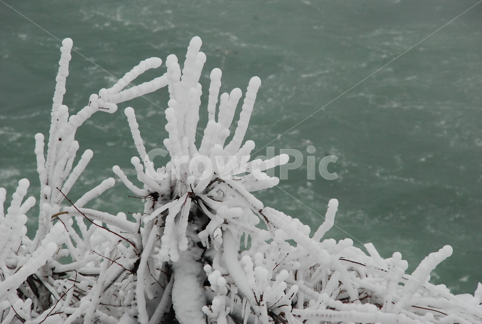자연,얼음,나무,차가움,가지,얼어붙은,폭포,물,얼음꽃,ice,winter,바람,snow,겨울,계절,winter,season