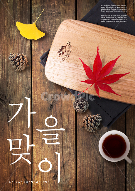 커피,솔방울,단풍잎,단풍,은행잎,은행나뭇잎,가을,표지,전단지,브로슈어,카달로그,가을,계절,fall,autumn,season,축제,행사,festival,carnival,event,그래픽,일러스트레이션,graphic,illustration,leaf,잎,plant,식물,tree,나무
