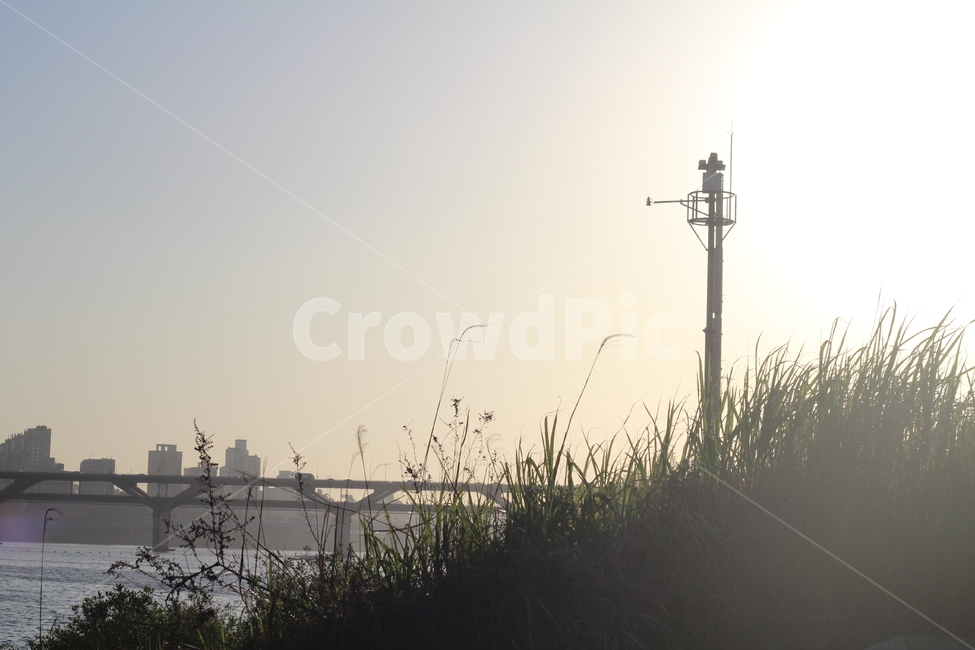 뚝섬한강공원,뚝섬,한강,한강공원,hanriver,도시,풍경,city,landscape,한국도시풍경,한국도시경관,korea cityscape,plant,식물,grass,잔디