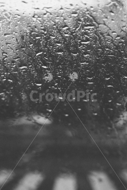 비,여름,장마,흑백,풍경,날씨,비오는날,rain,비,비오는날,rain,rainy,감성,sensible,feeling,흑백,모노톤,monochrome,black and white