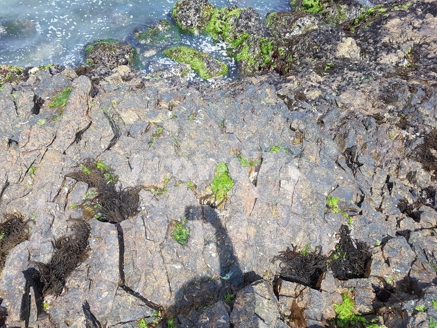 채석강,바다,돌,부안,적벽강,자연,풍경,nature,landscape,ground,바닥,rock,록