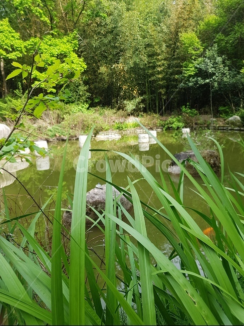 물,자연,땅,land,water