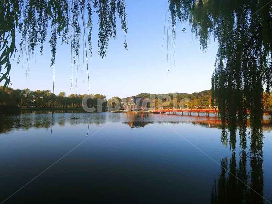 궁남지,한옥,자연,나무,호수,자연,풍경,nature,landscape,water,물,tree,plant,식물,outdoors,옥외
