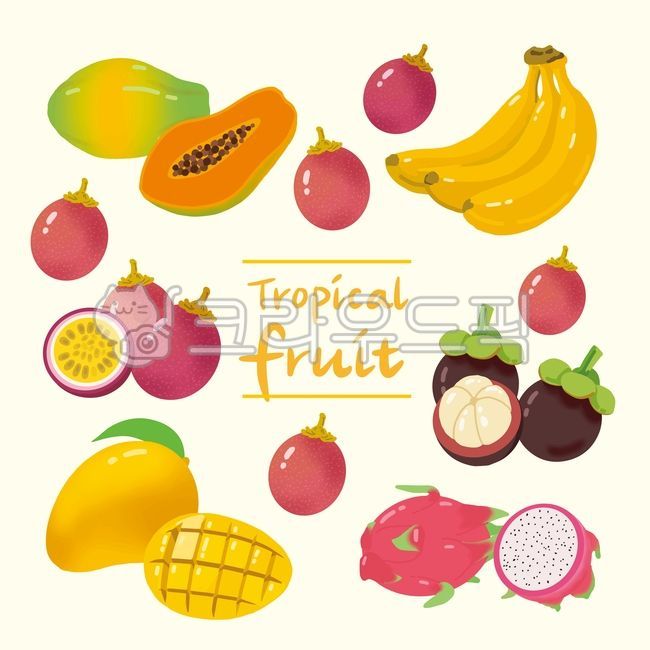 papaya,Passion Fruit,fruit,Rambutan,dragon fruit,Baekhyang and,vector,cooking,banana,nature,health,food,mango,tropics,Mangosteen,plant,illustration,tropical fruit,sweet,fresh,calligraphy