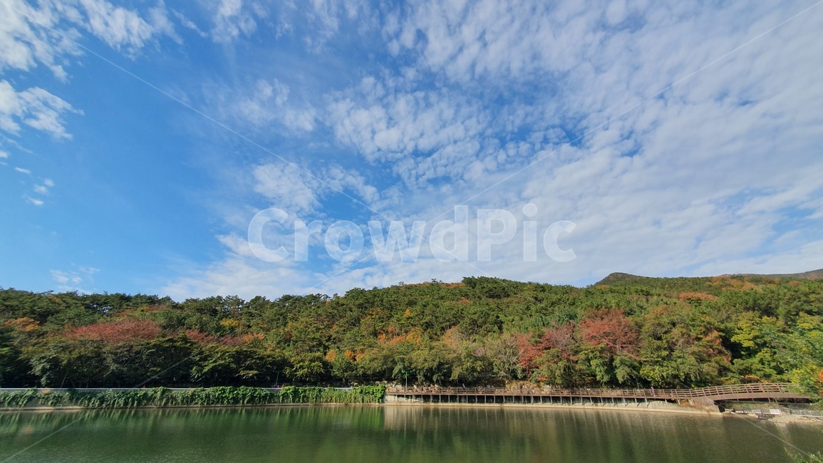 호수,자연,가을,물,lake,water,자연,풍경,nature,landscape