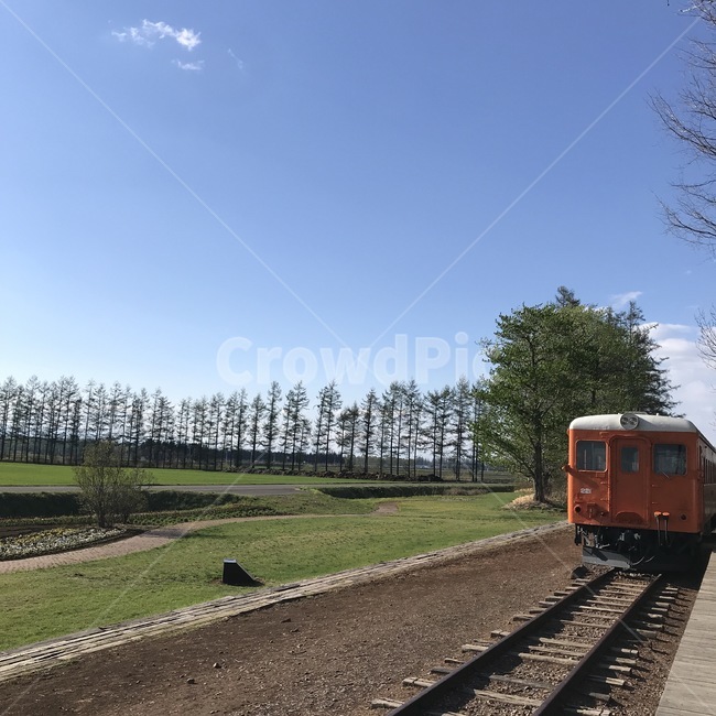 railway,철도,traintrack,기찻길,rail,레일,transportation,교통,역,station,자연,nature