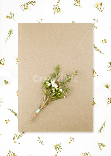 꽃,봄,식물,백그라운드,배경,배경이미지,flower,background,봄배경,꽃배경,plant,nature,프레임